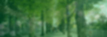 sample banner-01-01.jpg